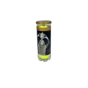 TUBO DE PELOTAS – VILAS ALL COURT GOLD